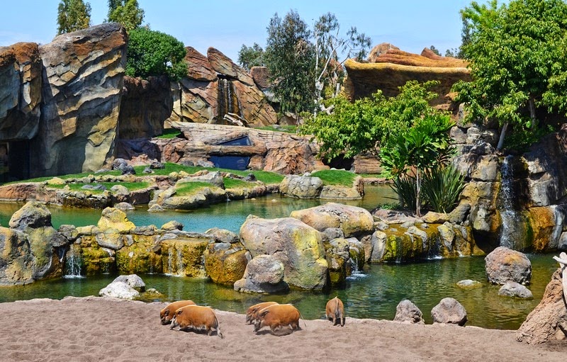 Bioparc valencia, Spain for family fun. Americans love Valencia